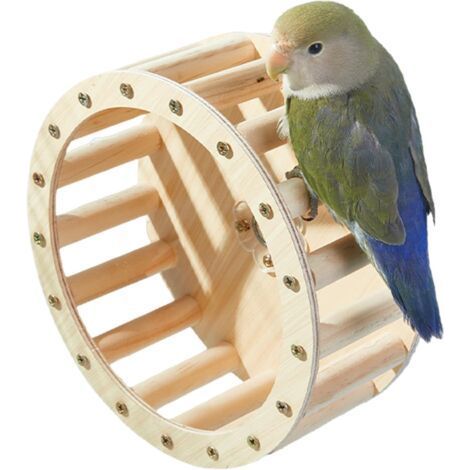 Roue De Course pour Oiseaux Jouets d'exercice Roue d'exercice Jouet D'Intelligence pour Perroquets.Fournitures de Divertissement Interactif Stimulant l'Intelligence pour Perruches (1/5)