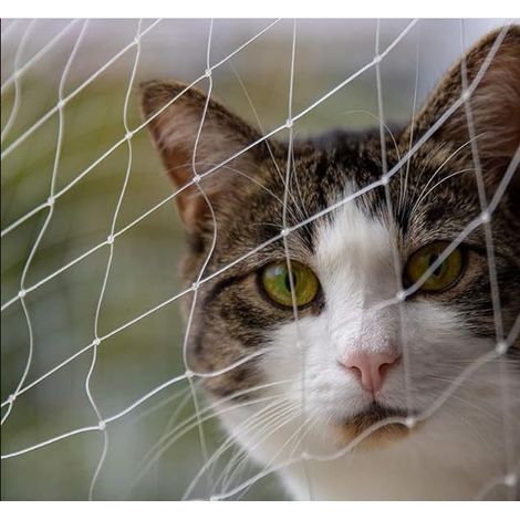 Filet pour Chat pour Balcon, 3 x 8 m, Filet Anti Oiseaux, Filet Balcon Chat, Oiseau Fil De Nylon, De Protection Chat, pour Jardin,Protection Fraisier, Anti Pigeon Protection Piscine (1/5)