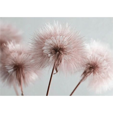 Papier peint mural pissenlits boho rose nature intissé grand format design intérieur salon chambre pas cher 150x105 cm (1/5)