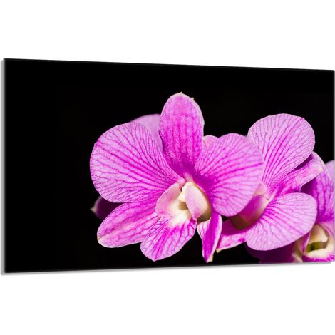 Glasschutzplatte für den Herd 80x52 Orchidea