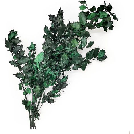Stabilisierte Stechpalme (Ilex) – Grün