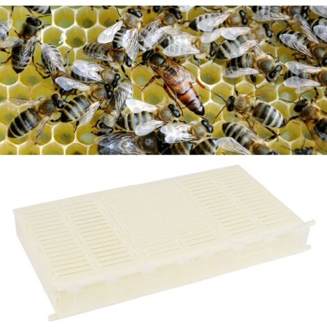 [Boîte de Ponte pour Abeilles] Boîte Monocadre pour Contrôle de Ponte de la Reine, Plastique Durable, Dimensions 48.8x24 cm, Facile à Nettoyer et Assembler (1/5)
