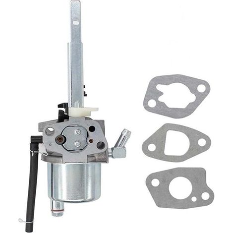 Carburateur 208 cm3 compatible avec les carburateurs de chasse-neige Ariens 2000102720001368LCT0312103122 et 532436565 (1/3)