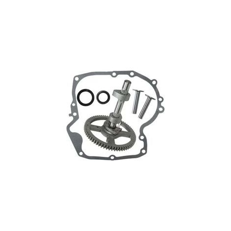 Kit de remplacement arbre à cames Briggs & Stratton 793880 – Compatible moteurs 4 temps – Joint de carter et d'huile inclus – Haute qualité (1/4)