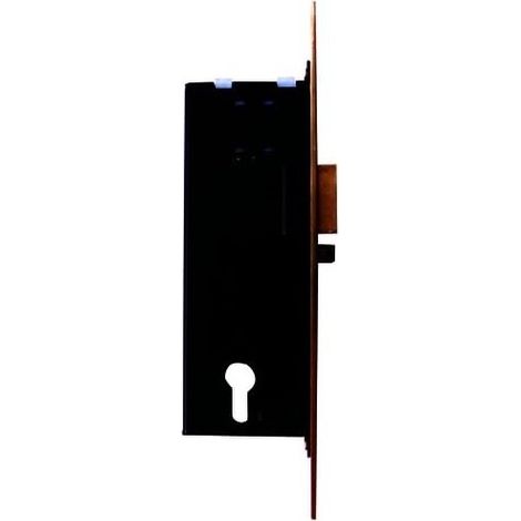 CISA - 12016-60 ELETTROSERRATURA DA INFILARE A CILINDRO ENTRATA mm.60 per porte legno - scrocco reversibile elettrificato e catenaccio con ritorno automatico - tensione 12V ca CE - 2 mandate