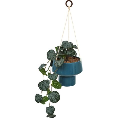 Planta colgante Homy H. 80 cm - Atmosphera créateur d'intérieur (1/5)