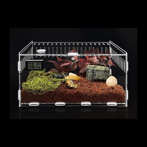 Insect Feeding Box,Reptile Habitat Transparent Breeding Box Breeding Box for Spiderlings Acrylic Terrarium Containers for Lizard Spider Beetle (1/5)