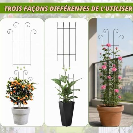 Ensembles de Tuteurs métalliques en 2 ou 3 pièces, adaptés aux Plantes grimpantes, livrés avec 50 Attaches pour faciliter la Croissance, Parfaits pour Les Jardins, Les balcons et l'intérieur (83cm) (1/3)