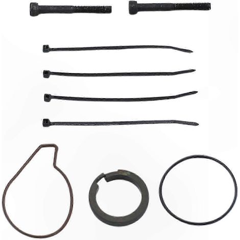 Kit Réparation Pompe à Air Comprimé Professionnel L322 Discovery 2 Compresseur Suspension Automobile (1/5)