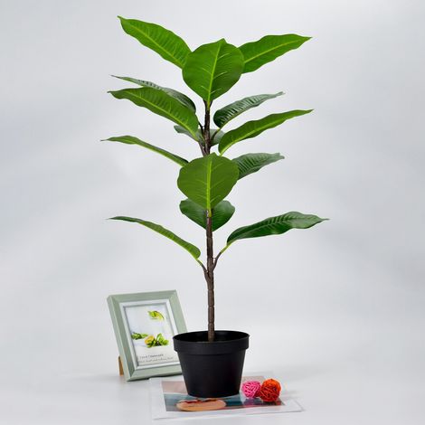 Un ensemble de faux bananiers, de feuilles de monstera tropicales, de fausses tortues, de grandes feuilles de palmier, de fougères et de fausses plantes et arbustes verts pour la décoration.