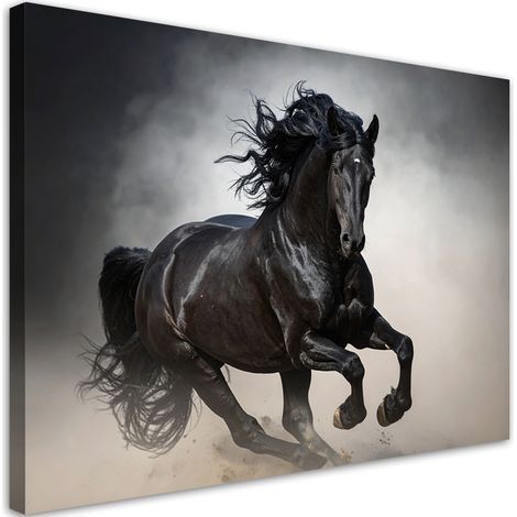 Tabelau sur Toile, Cheval noir au galop nature,30x20 (1/4)