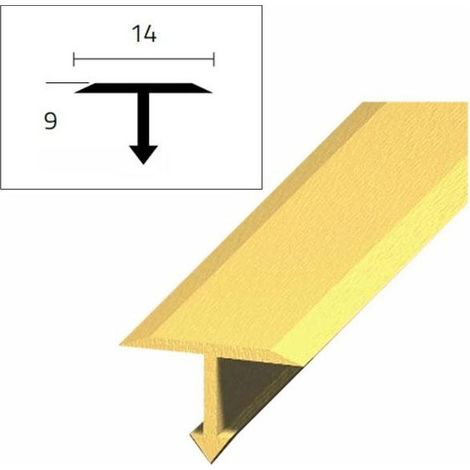 Tapis de passage T Ott Brillant 90 14X9