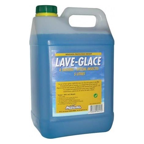 LAVE GLACE AUTO ETE/HIVER 5L MENTHE MIEUXA 103397/1 (1/3)