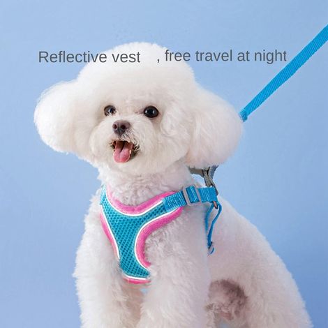 Ensemble de laisses harnais pour chat respirant gilet pour chien harnais avec maille respirante simple chien chiens réglable Admabable doux Petd réfléchissant sans traction (orange) MNS (1/4)