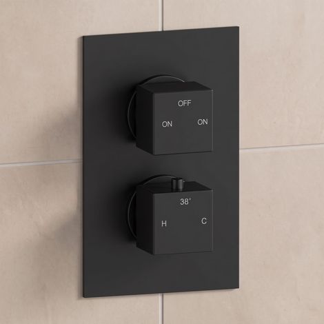 Signature Advance Thermostatic 2 Outlet Concealed Shower Valve Dual Handle - Matt Black (1/3)