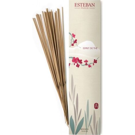 Esteban - Encens indien esprit de the