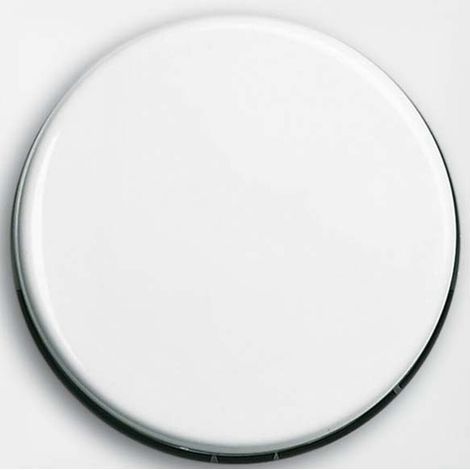 Busch-Jaeger Zentralscheibe alpinws f.Dimmer 2115-914 (1/2)