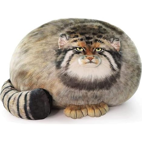 Filiyano-Coussin Manul, Chat Épais, Coussin Peluche, Mignon, Coussin Animal Doux, Peluche, Cadeau pour Filles, Garçons, Petite Amie (1/5)