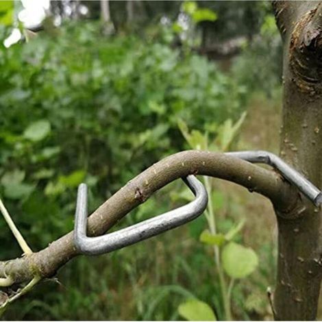 Écarteur de branches d'arbres fruitiers, outil agricole, angle ouvert, outil d'ouverture et de pliage d'arbres fruitiers, (M-10cm) (1/5)