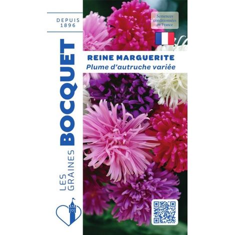 Reine Marguerite Plume d'Autruche variée - 0,8g