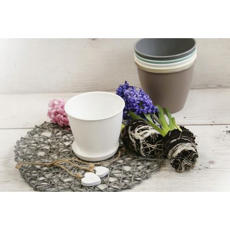 Soucoupe de pot de fleurs en plastique blanc Azalée 13 cm (1/2)