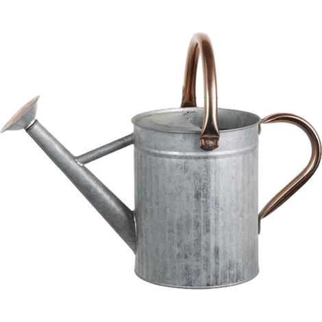Arrosoir en acier inoxydable : 5 L/1,3 gallon, conception en métal résistant à la rouille avec bec amovible et double poignée pour plantes d’intérieur et d’extérieur (1/5)