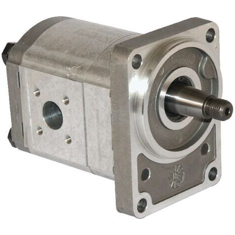 Zahnradpumpe Polaris 20 CASAPPA PLP2016D355B2 (1/5)