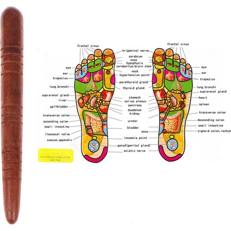 Filiyano-Bain de pieds en bois, physiothérapie, réflexologie, massage thaï, carte santé, bâton de massage gratuit