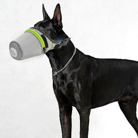 Masque pour chien, réutilisable, respirant, avec filtre à air, masque facial à gaz réglable, masque respiratoire pour chiens de grande et petite taille (gris, taille M)