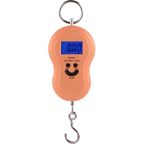 Balance Électronique À Crochet - Capacité 50 kg - Précision 0.01 kg - Affichage LCD Numérique - Fonction Verrouillage Poids - Portable Avec Poignée Rétractable - 1 Pièce