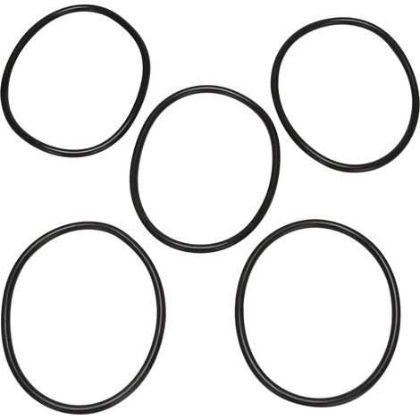 5 Pieces 100 mm Outer Diameter, 5 mm Thick, Rubber Seal, Filtered O-Rings, One L, Black (1/5)