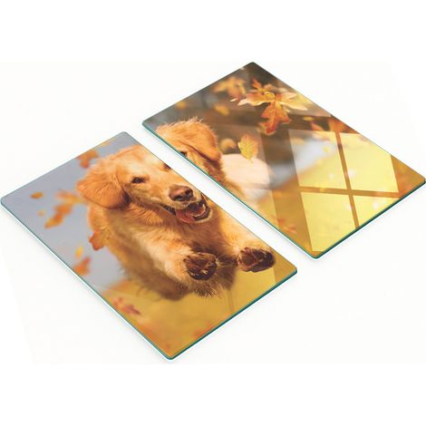 Tableros de vidrio resistentes a los ara帽azos con dise帽o de perro Golden Retriever, 2x30x52 cm.