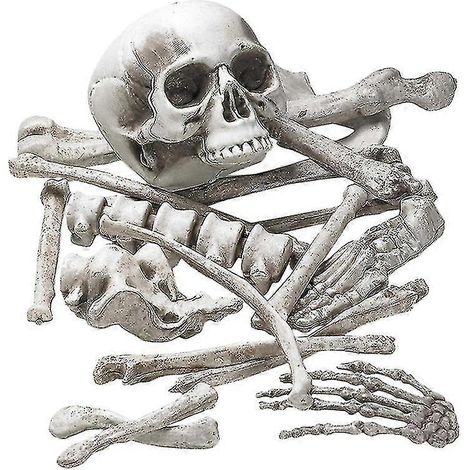 1 Packung Halloween-Skelettknochen (1/3)