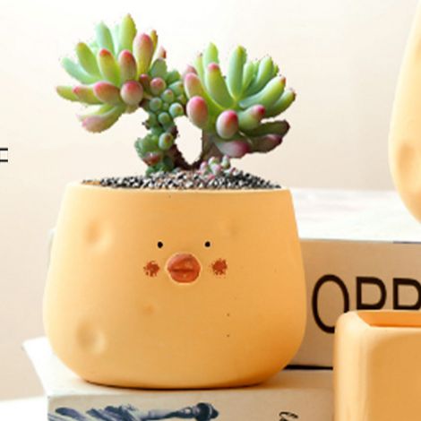 Pot de fleurs mignon en céramique en forme de poussin, idéal pour les plantes succulentes, pour la décoration intérieure et extérieure de la maison et du jardin. Forme de bol jaune. (1/5)