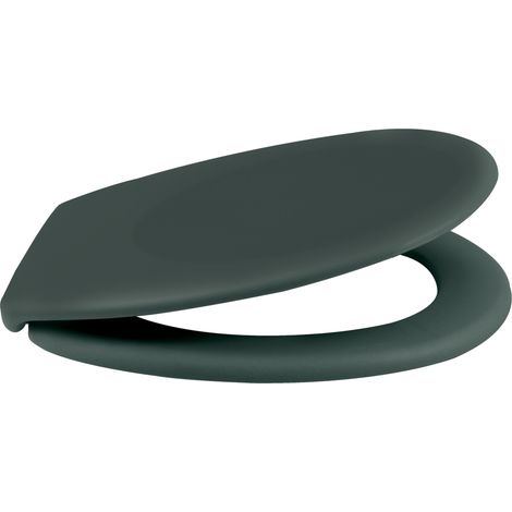 Asiento Wc Thermo Duro NEELA Verde Oscuro Mate -  Bisagras ABS Cromadas Spirella (1/5)