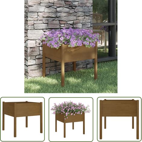 The Living Store Jardinière d'extérieur Marron miel 70x70x70 cm Pin massif - Jardiniered Exterieure - Jardinerie - Pots De Fleurs - Bacs Fleuris - Décoration Extérieur (1/5)