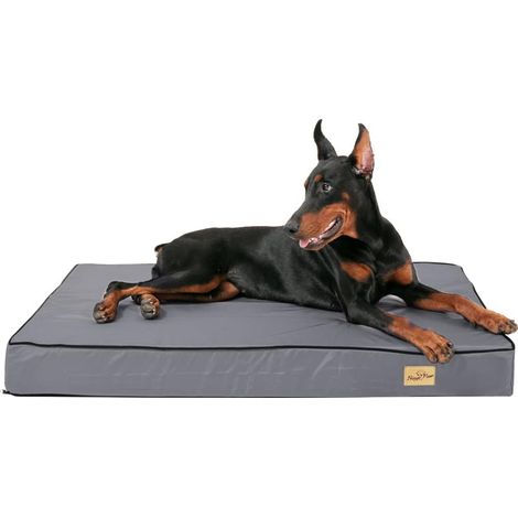 XXL Materassino Cuccia per cane Estiva Divanetto Letto per Cani Taglia Grande 120x75x10cm (1/5)
