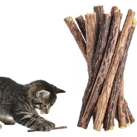 12 - Bâtonnet De Matatabi - Jouet Pour Chat - Hygiène Dentaire Naturelle - Réduit Le Stress Et La Plaque Dentaire - Pour Chaton Et Chat Adulte - Naturel - 15x0,7cm (1/5)
