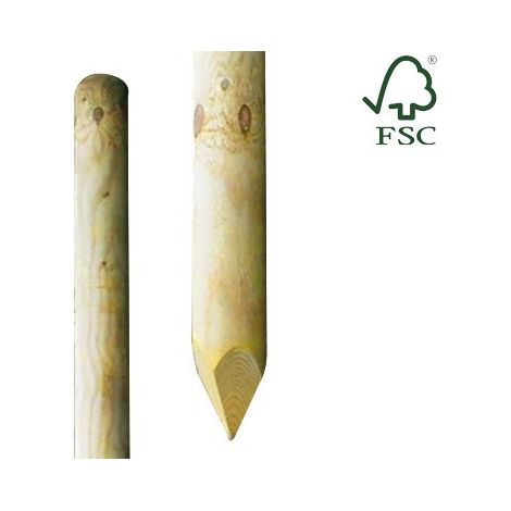 PALI IMPREGNATI TONDI PUNTA 10XH250