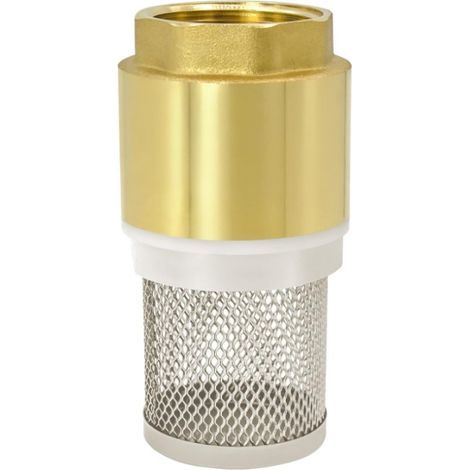 1-Zoll-Rückschlagventil aus Messing mit Sieb, für Wasserpumpen und Filtersysteme. (1/5)