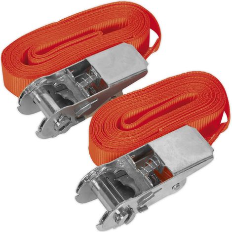 Sealey Self-Securing Ratchet Straps 25mm x 4.5m 500kg Breaking Strength - Pair TD05045E (1/4)
