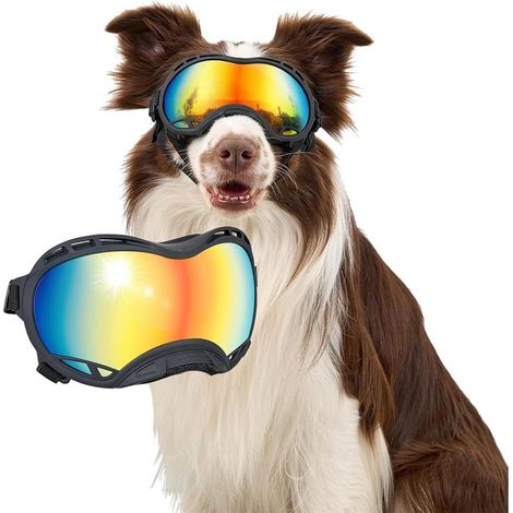 Lunettes de protection pour chien réglables, coupe-vent et anti-poussière, avec protection UV, idéales pour les activités de plein air et la neige. (1/5)