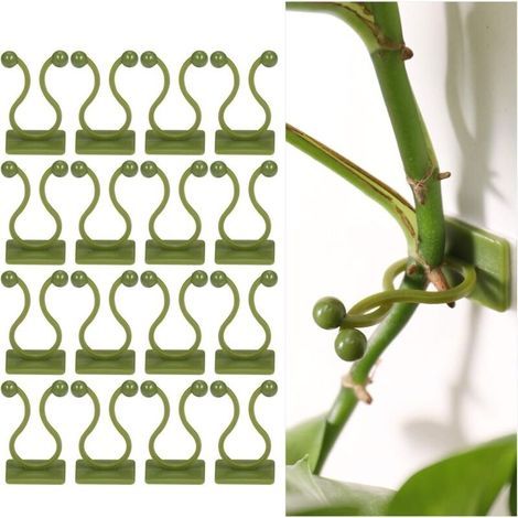 100 Pcs Climbing Plant Support Clips, Self-Adhesive Plant Clips, Wall Mounting Clips for Green Vines, Wall Fixers, Plant Support Hook Clips, Plant Support Clips, Plant Wall Decoration (1/5)