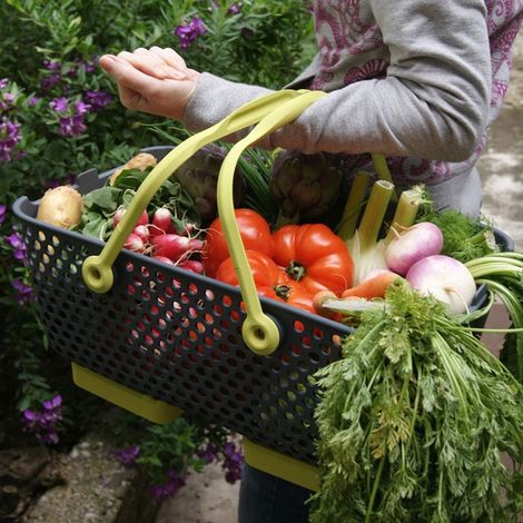 Panier de récolte Kajo Gris 15L - Vert