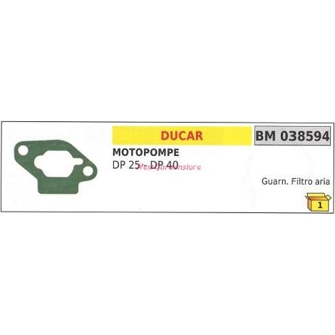Guarnizione filtro aria DUCAR motopompa DP 25 40 038594