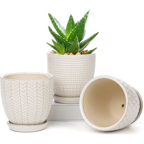 Keramik Blumentöpfe 3er Set mit Untertasse, Ø 11,2cm, für Sukkulenten & Kakteen (1/5)
