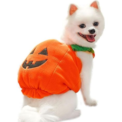 Costume d'Halloween amusant pour chien et chat, motif citrouille, en peluche épaisse, décoratif, mignon, pour fête d'Halloween (1/4)