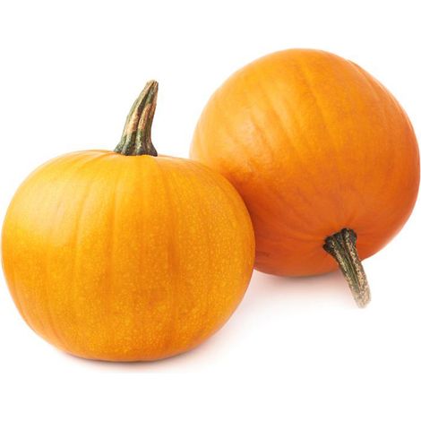 Semi di zucca "Mammoth gold" piante per orto e giardino coltivazione domestica e professionale