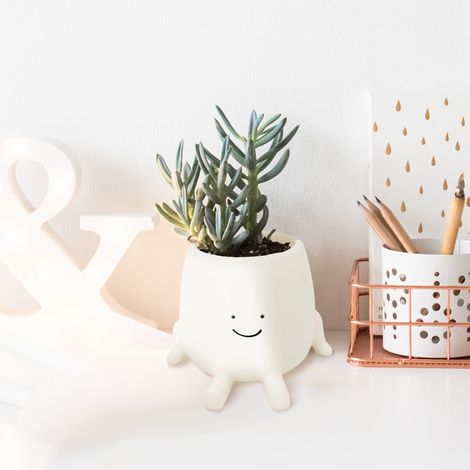 Pot de fleurs assis en résine avec un joli visage, idéal pour les plantes succulentes. Pot décoratif avec trou de drainage pour jardin, balcon, bureau ou rebord de fenêtre. (1/5)