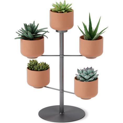 Support à plantes avec 5 pots Terrapotta (1/5)